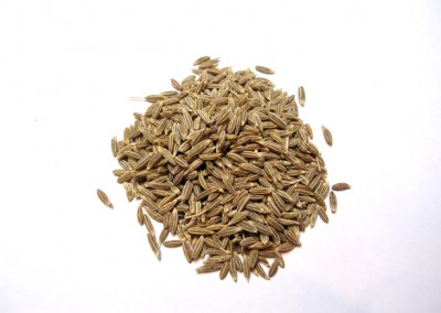 ShaJeera (Caraway Seeds)